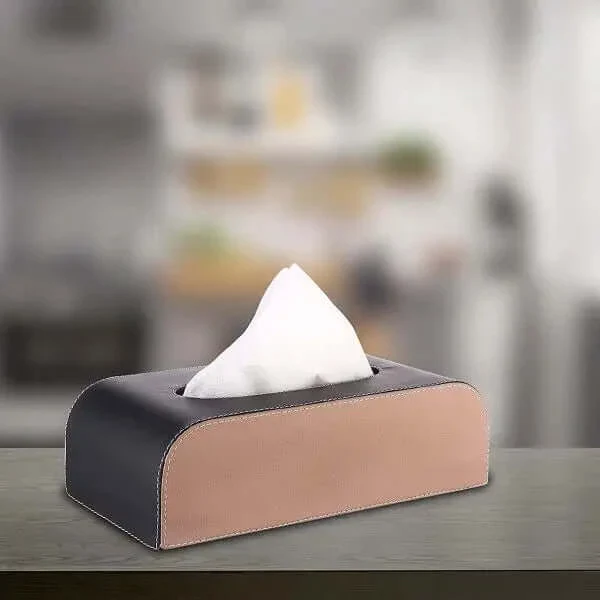 GFX Handcrafted Leather Tissue Box Holder For Car (Beige & Brown)