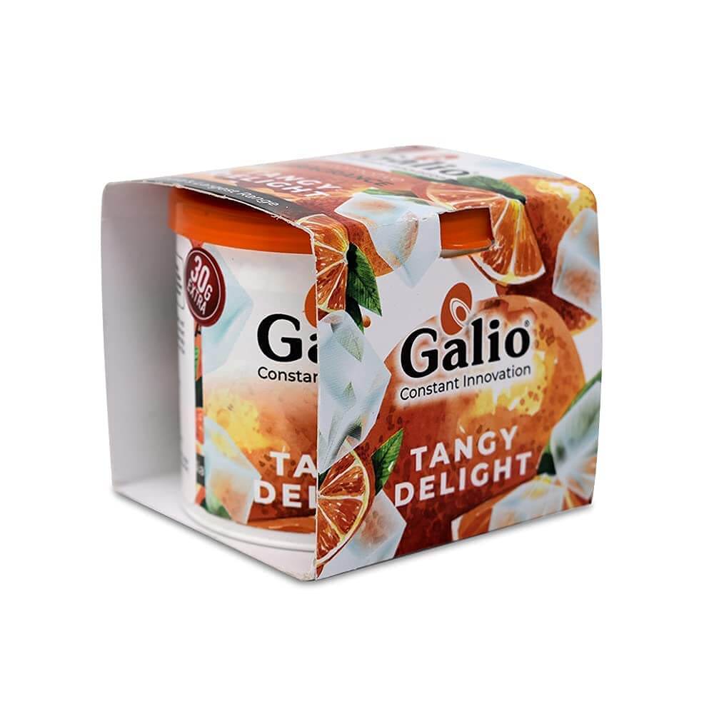 Galio Air Freshener For Car, Home and Office (Tangy Delight, 120g)  1 review